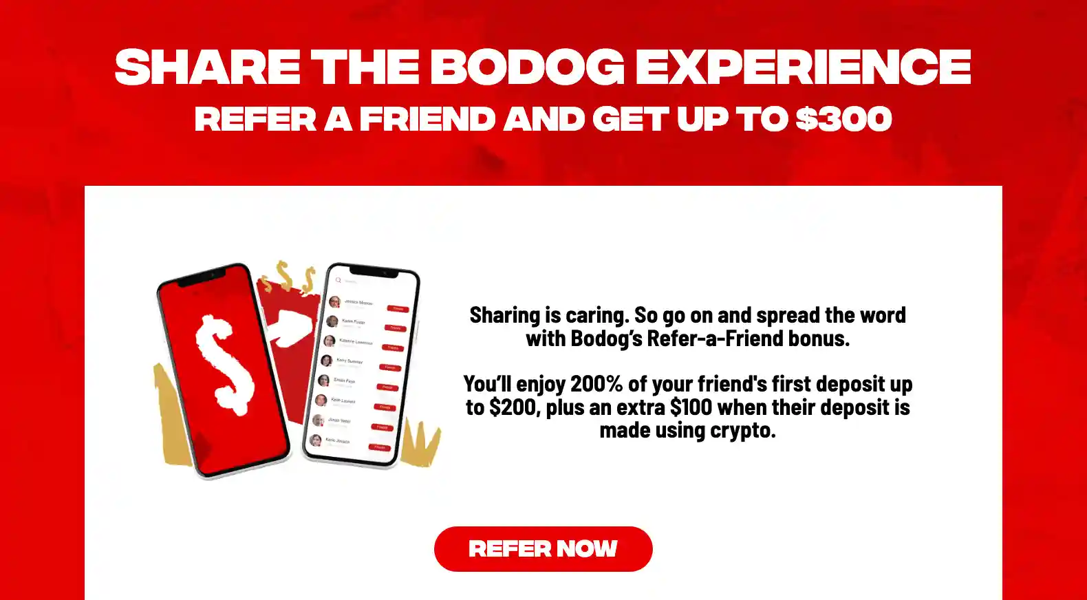 bodog bonus